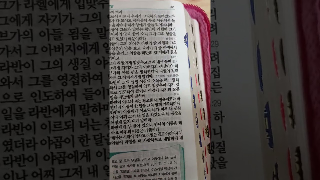 D-1187... 창세기 29장