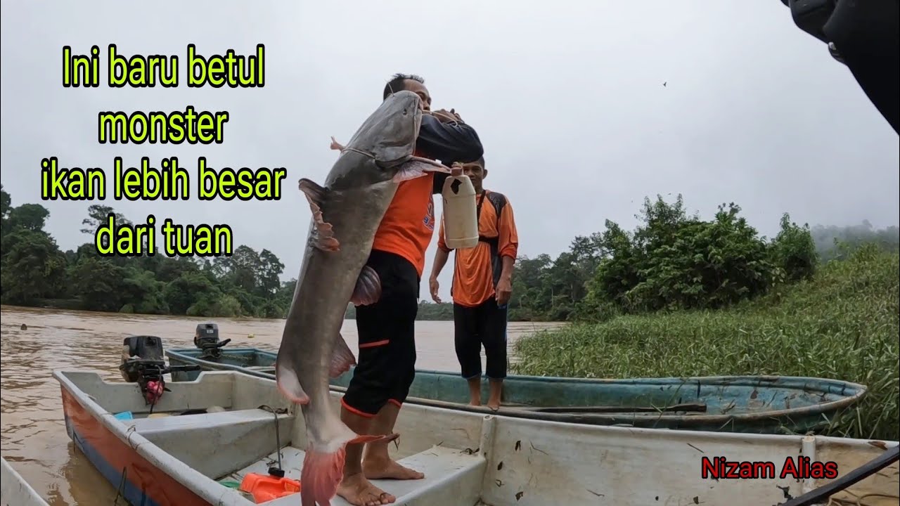 INI BARU BETUL-BETUL MONSTER,IKAN LEBIH BESAR DARI TUAN
