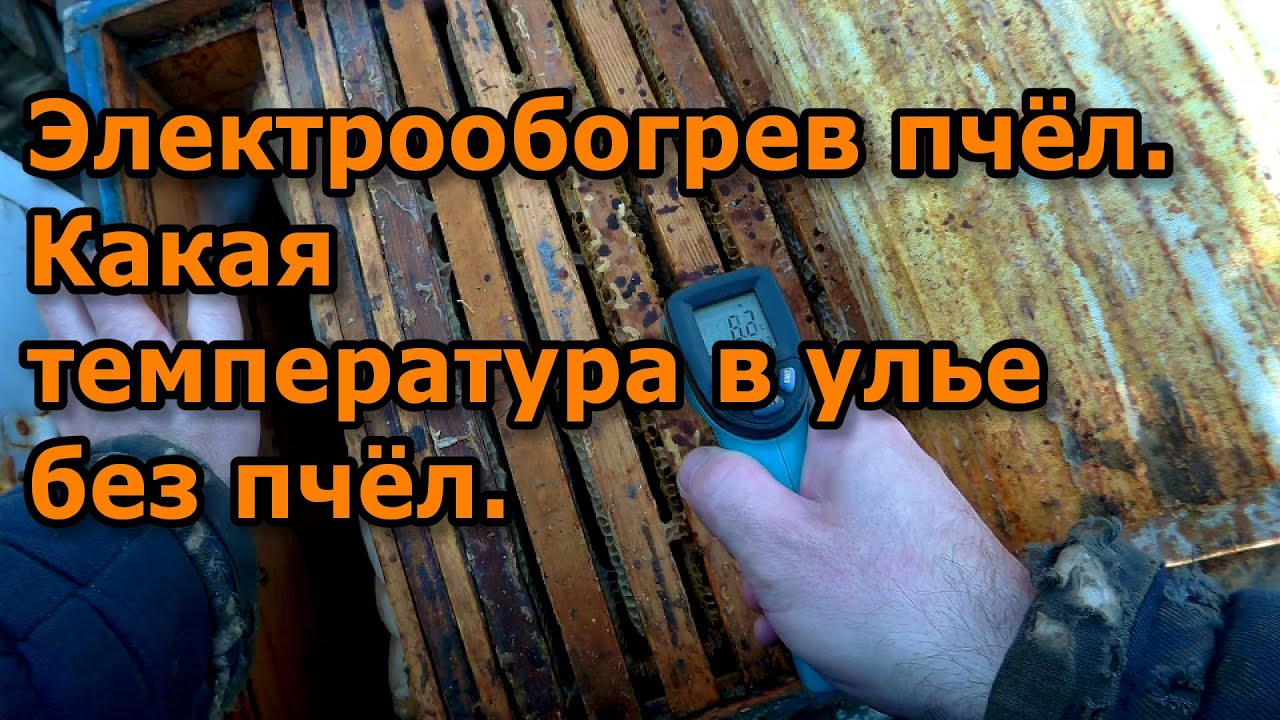 Электрообогрев пчёл. Какая температура в улье без пчёл.