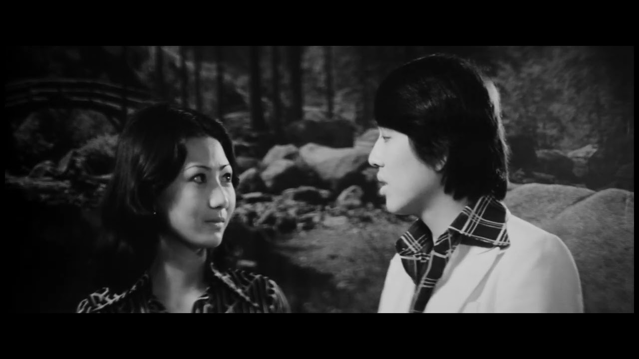 Dream of the Red Chamber (新潮紅樓夢1977) (Trailer)