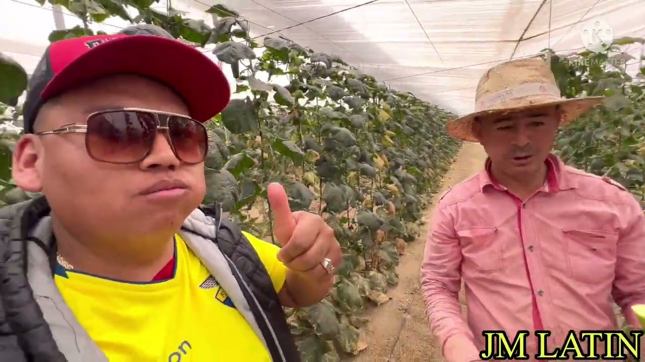 COLOMBIANO EN ESPÁÑA CUANTO GANA LA HORA DE TRABAJO