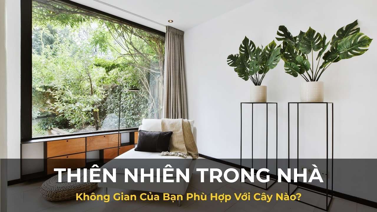 Thiên Nhiên Trong Nhà: Không Gian Của Bạn Phù Hợp Với Cây Nào? | An Gia Life