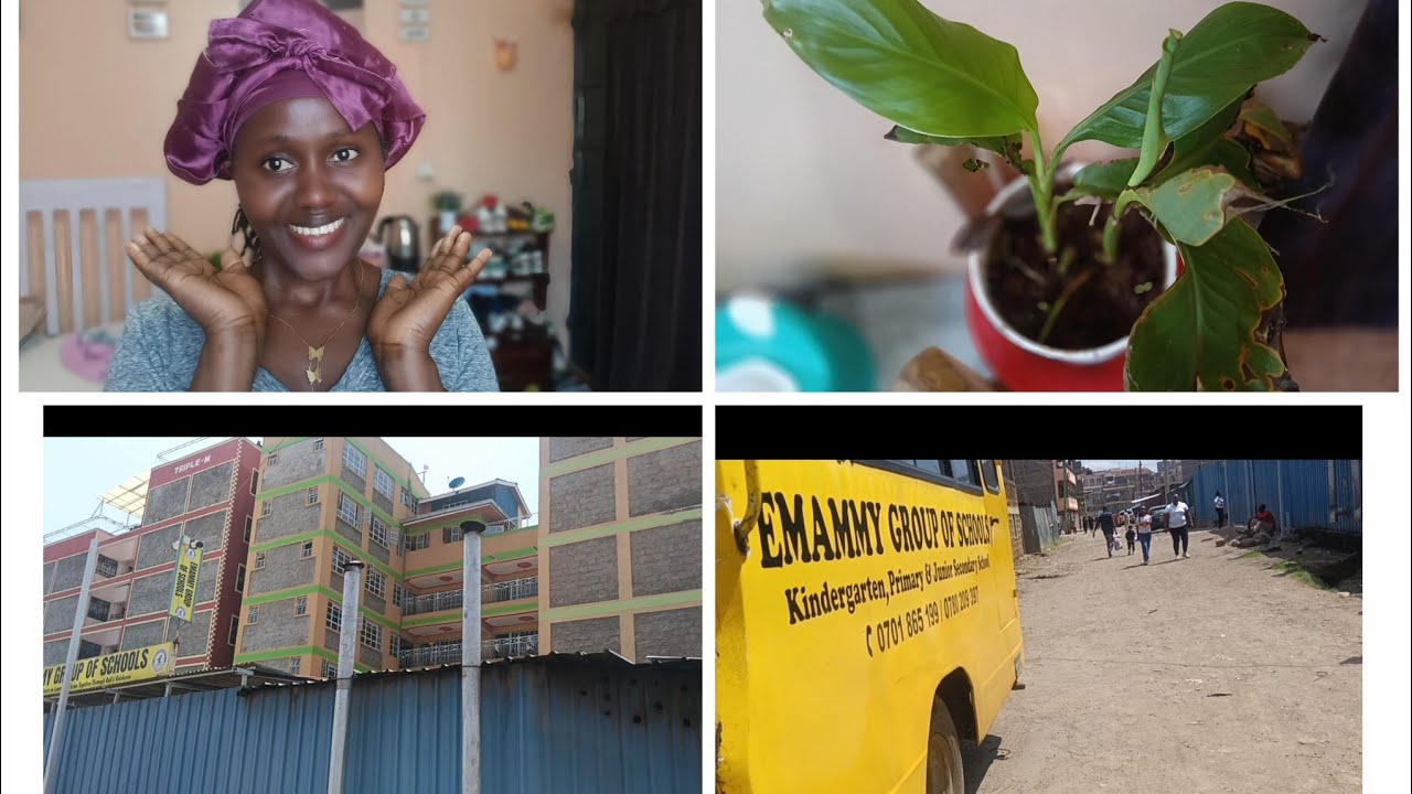 Weekly Vlog; Unboxing/Planting/School Hunting.
