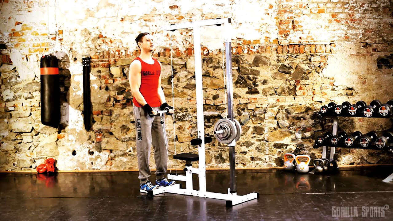 Lat Pulley Station Gorilla Sports