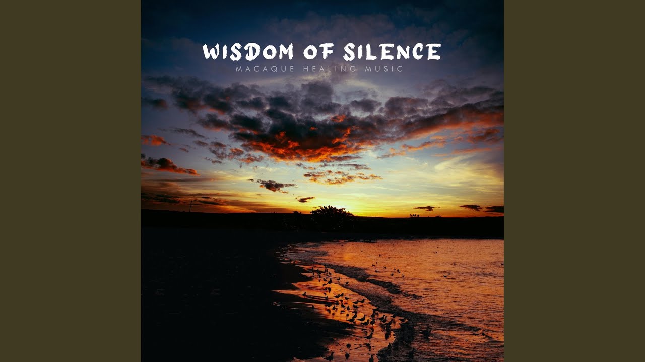 Wisdom of Silence