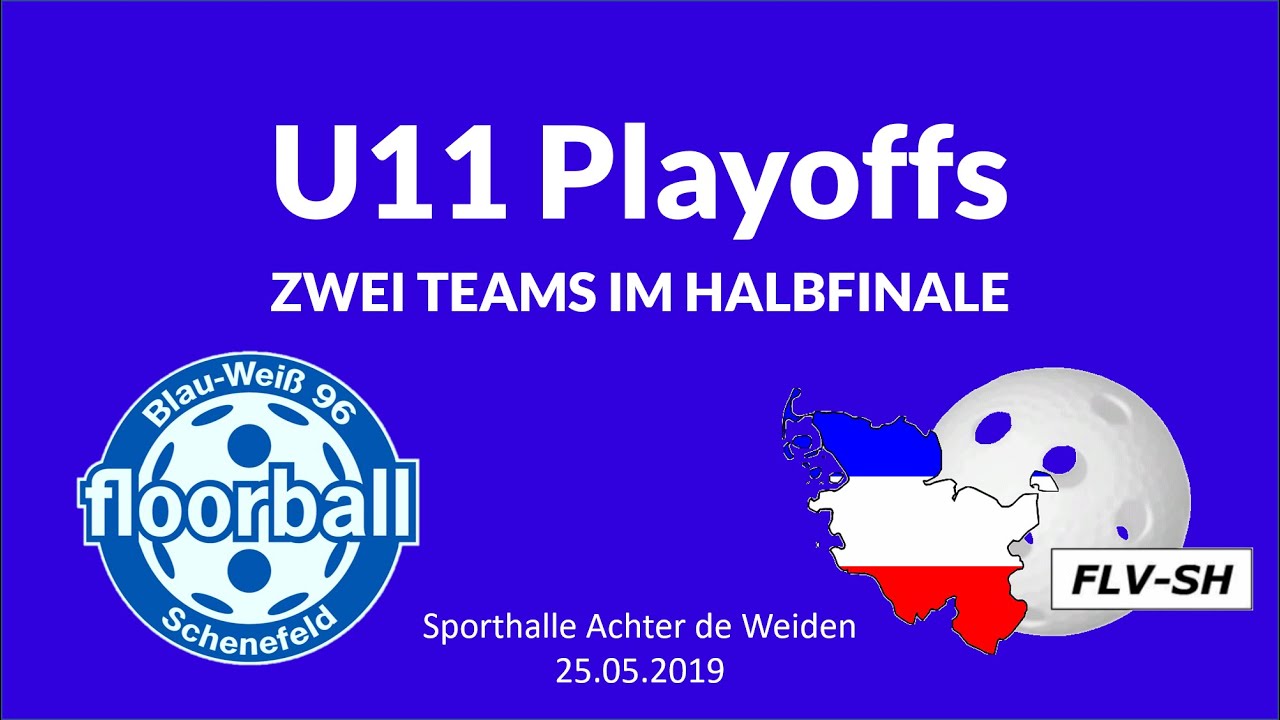 U11 Playoffs 2018/19 | BW96 Schenefeld Floorball | FLV-SH