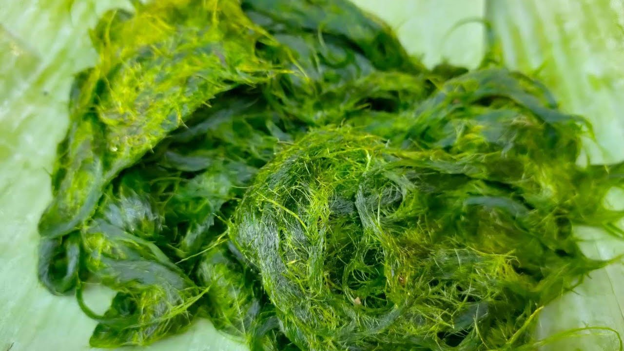 ยำเตา ครัวดอยลองมาดู EP.1