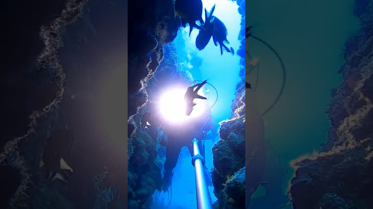 A gruta da abr&oacute;tea  #scubadiving #azores