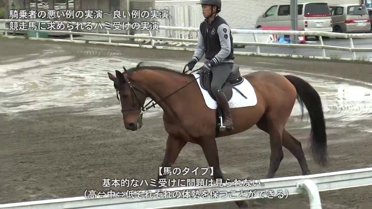 20181212 horse control seminar