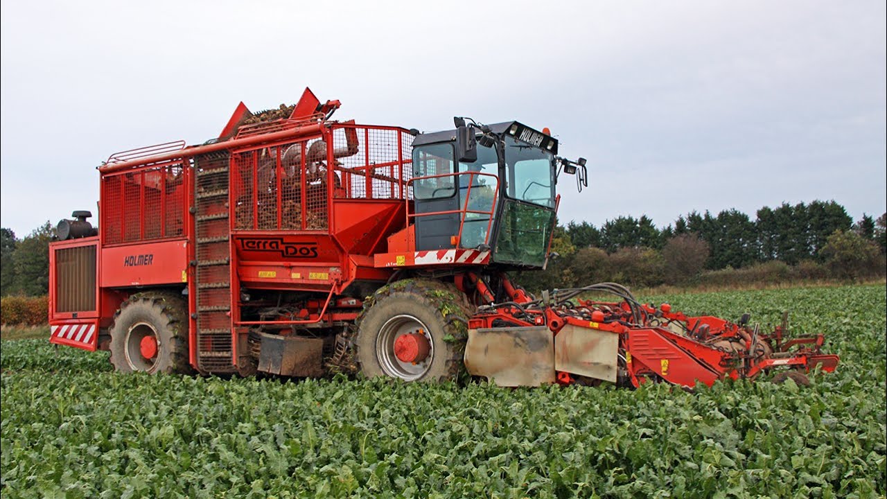 1998 Holmer Terra-Dos (the original) six-row sugar beet harvester | Beet Harvesters in Britain