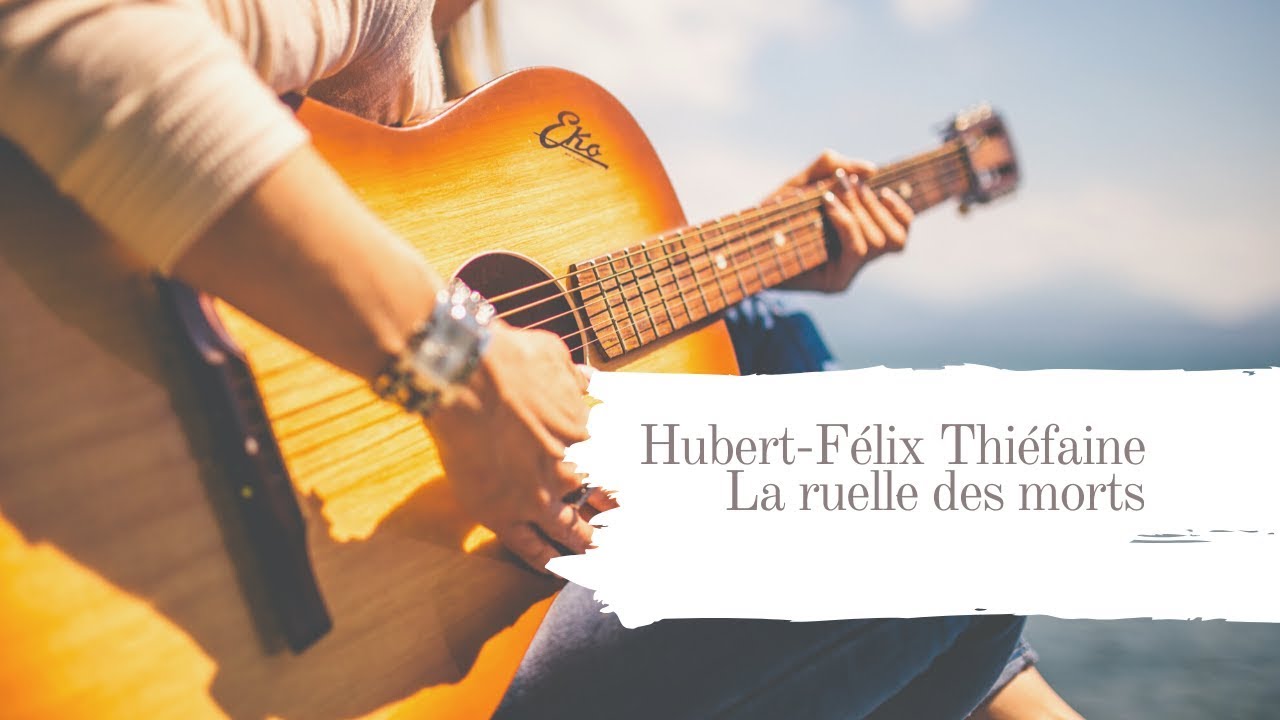 Hubert-Félix Thiéfaine  