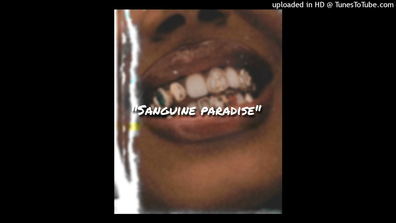 (Sample) Lil double 0 x Mac Critter sample type beat “Sanguine Paradise”
