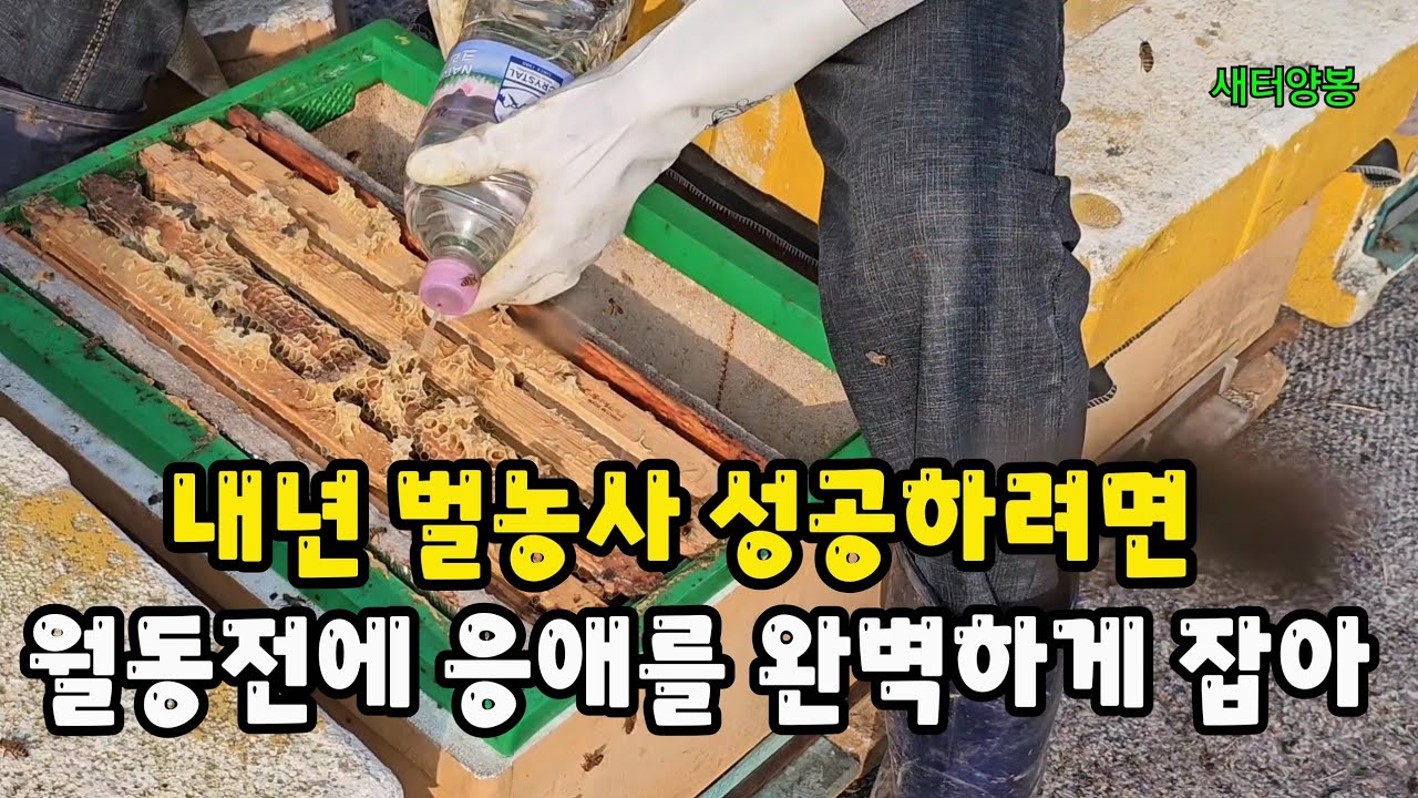월동전 마무리작업과 옥살산 흘림처리 #양봉 #bee #beekeeping #automobile 
