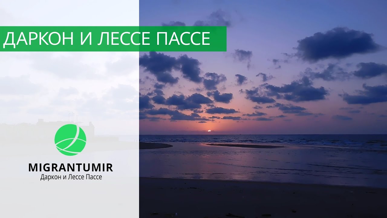 Даркон и Лессе-пассе:  разница, отличия, сравнение, список стран