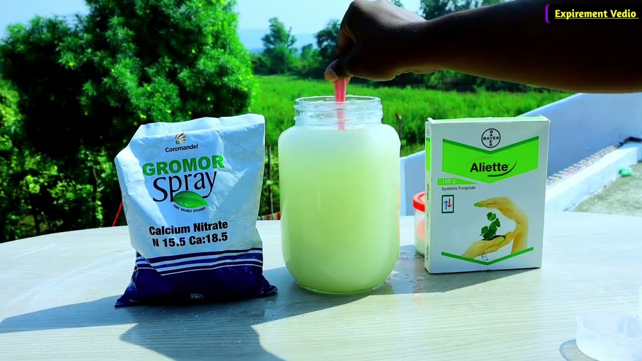 cualsium nitrate + Bayer Aliette mixing| Experiment