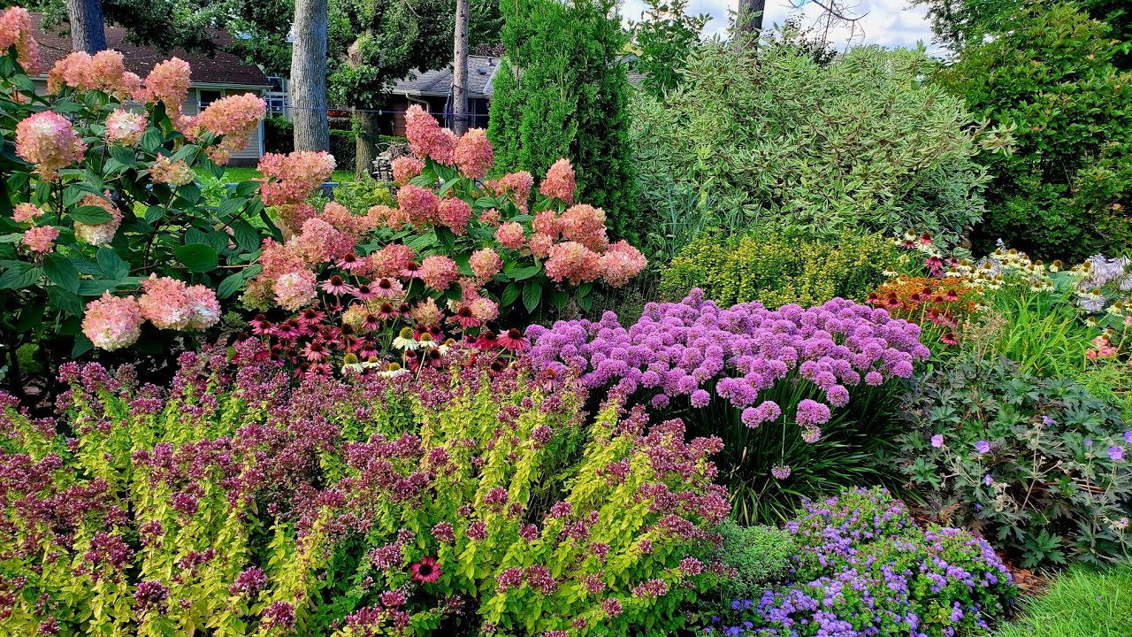 Mid-August Garden Tour, Minnesota Zone 5a