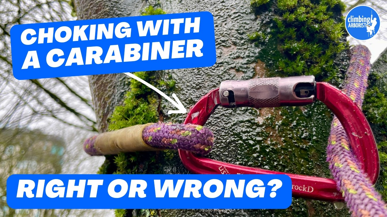 Удушение карабином &mdash; опасно или безопасно?? Система для лазания по деревьям