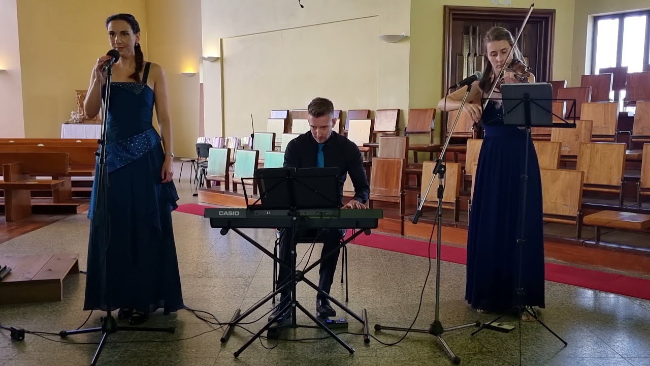 Ensemble MinneSang - 