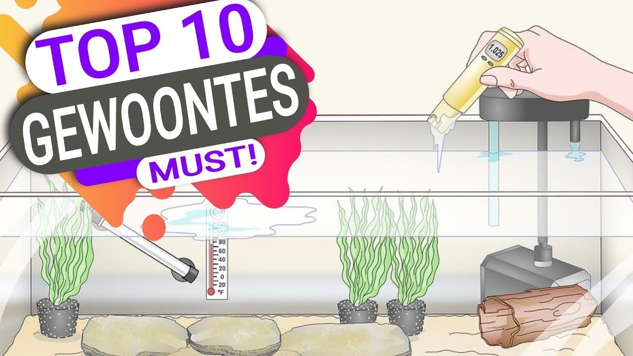 AQUARIUM houden - top 10 gewoontes - WELKE PAS JIJ TOE? | Aquarium Sunshine Valley