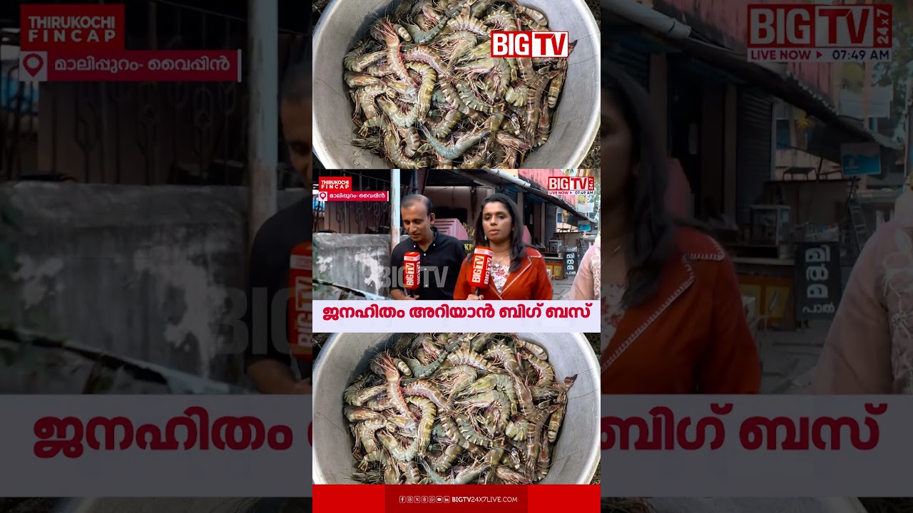 കൊഞ്ചൊരു മീനാണോ? #BIGTV #BIGBUS #FishMarket