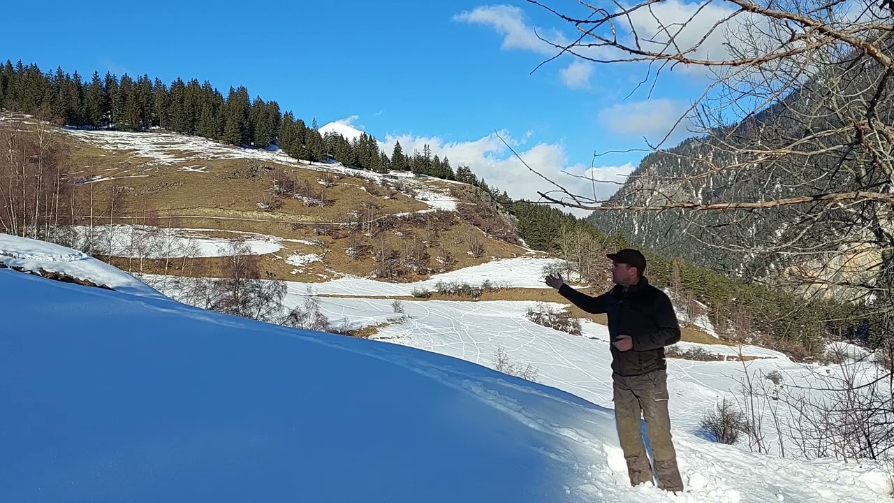 W&ouml;lfe sorgen f&uuml;r mehr Wildverbiss