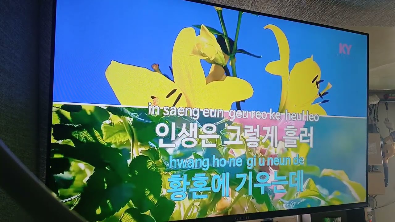 #백년의길 #백새시대 건강 하시고 좋은 일만 가득하시길 바랍니다.