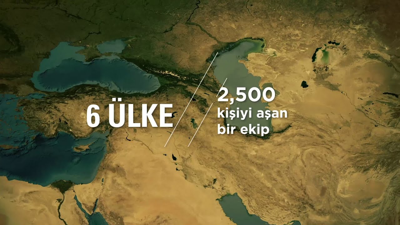 Yeni Dünya Düzeninde Borusan Cat