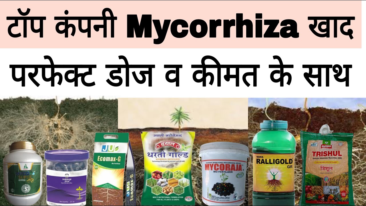 10 top company Mycorrhiza fertilizer | माइक्रो राजा के टॉप ब्रांड |