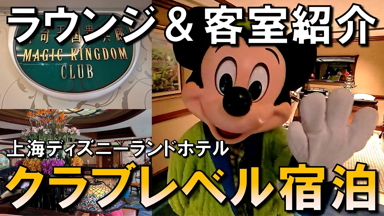 【SHDR】専用ラウンジ＆客室紹介！上海ディズニーランドホテルクラブレベル／SHDH Club Level Exclusive Lounge & Room Introduction【Hotel】