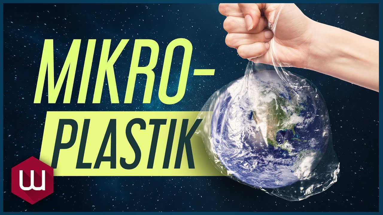 Wie gefährlich ist Mikroplastik wirklich?