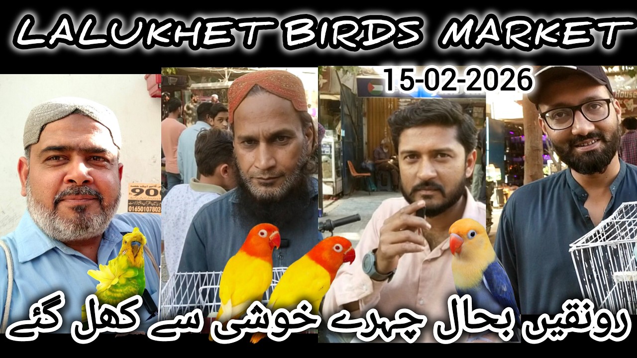 Birds Market Lalukhet Karachi 08-02-2026 | Cheapest Birds Market | Birds Market Ki Ronaqen Bahal