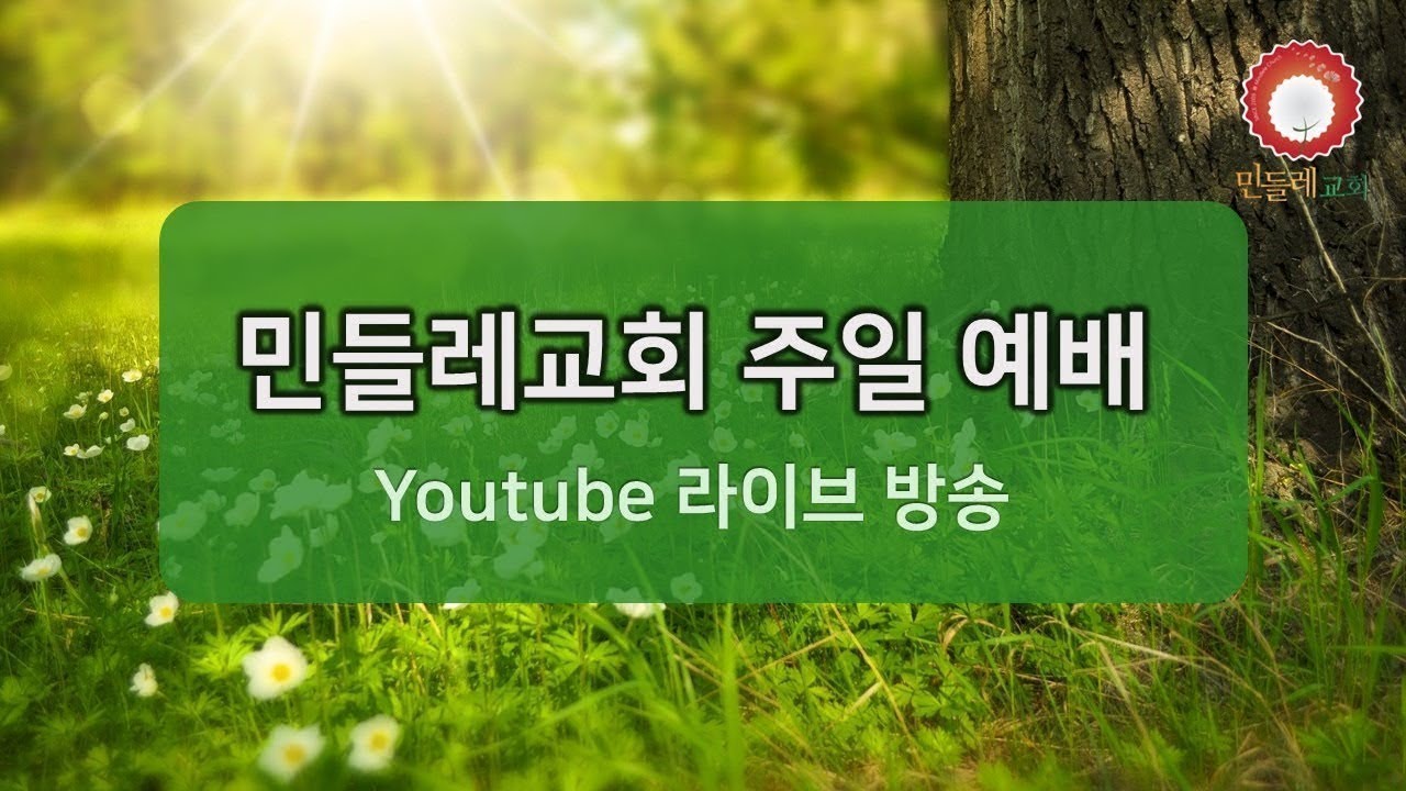 🔴[LIVE] 2026년 2월 22일 주일예배