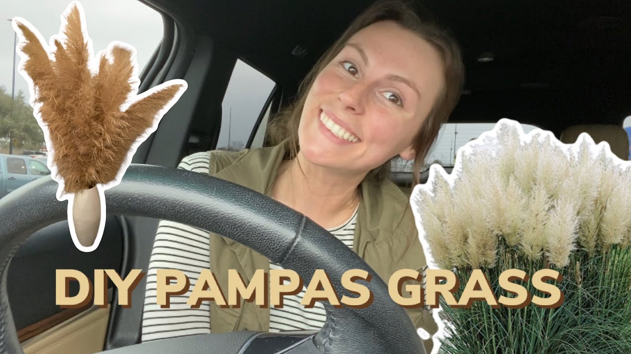DIY PAMPAS GRASS!! (just as good as the online, overpriced kind.