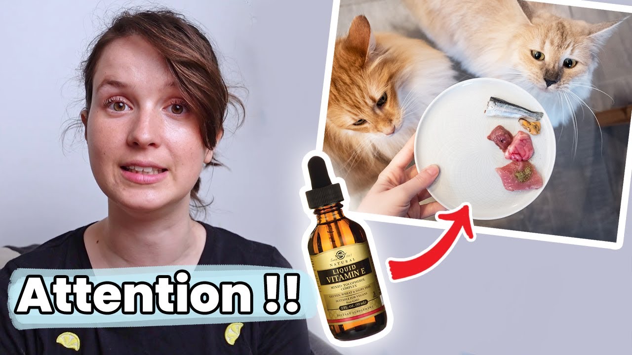N’oubliez pas ce supplément dans l’alimentation crue de vos chats : la vitamine E ! | Raw Feeding