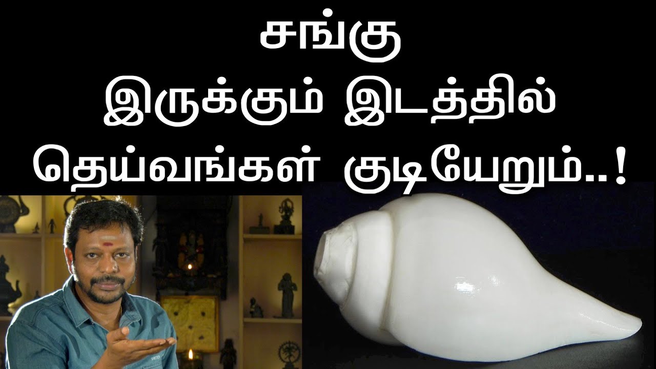 சங்கு இருக்கும் இடத்தில் தெய்வங்கள் குடியேறும் || வெண் சங்கின் நன்மைகள்..@Sadhguru_saicreations786