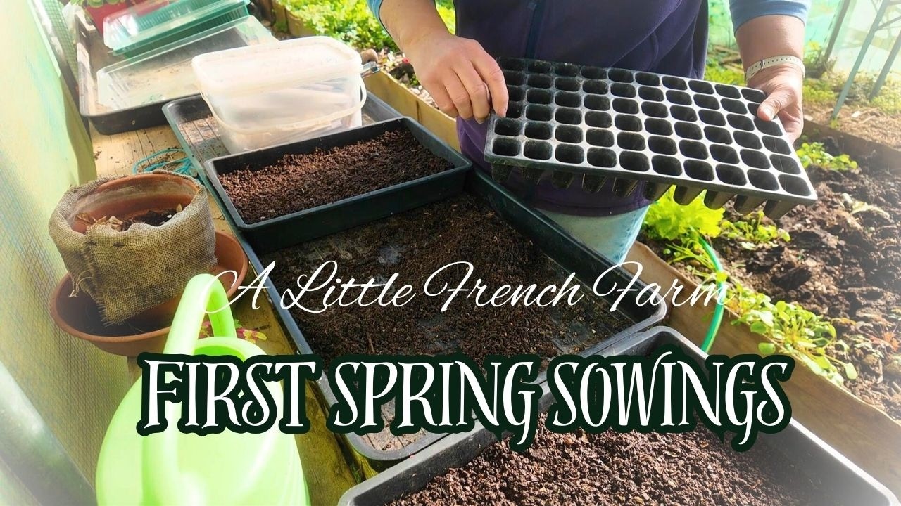 Here's What I Am Sowing Now That Spring Has Arrived