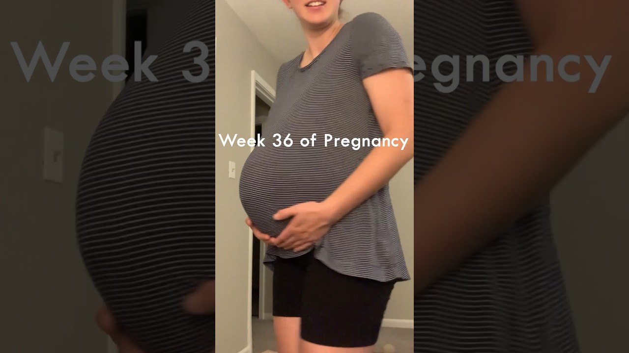 36 weeks pregnant symptoms #bellyprogression