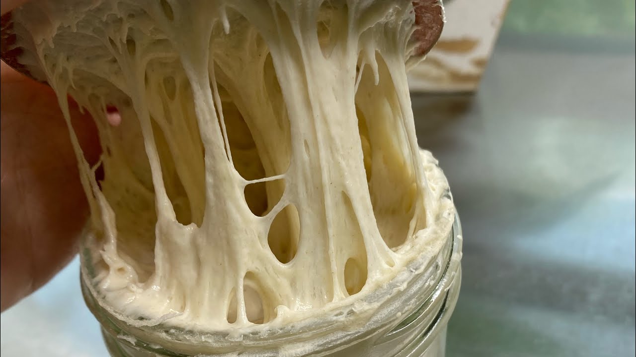 Cách Nuôi Men Tự Nhiên Hiệu Quả  Sau 4 Ngày Để Làm Bánh Mì & Nhiều Loại Bánh Khác -Sourdough Starter