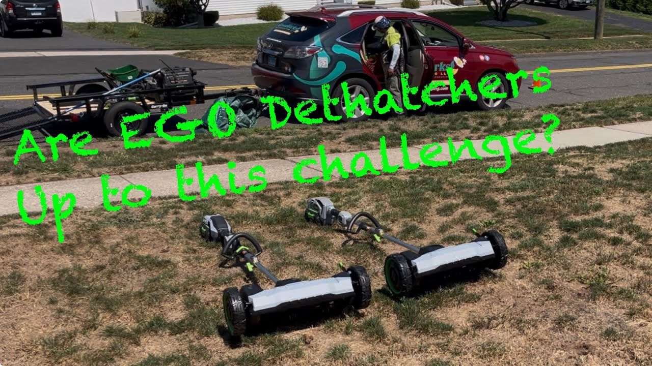 EGO Dethatcher vs Diseased Lawn #lawncare #lawncareservices #lawnmaintenance #ego #egopowerplus 