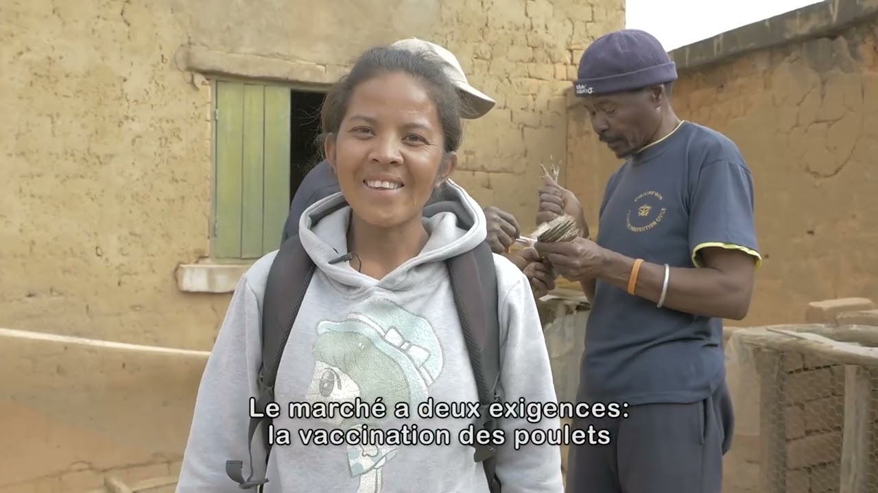 Commercialisation - Antsahadinta (Madagascar, 2019)