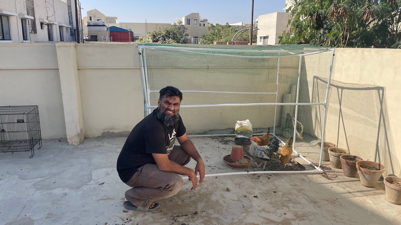 How to make chicken cage at home using pvc pipe DIY Project