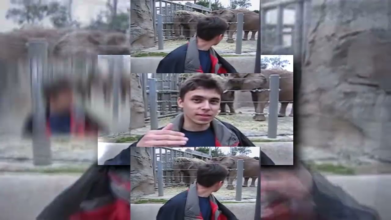 (REQUESTED) (YTPMV) Me at the zoo Scan V6