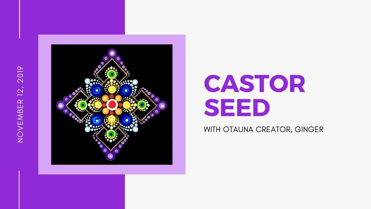 How to draw the CASTOR SEED