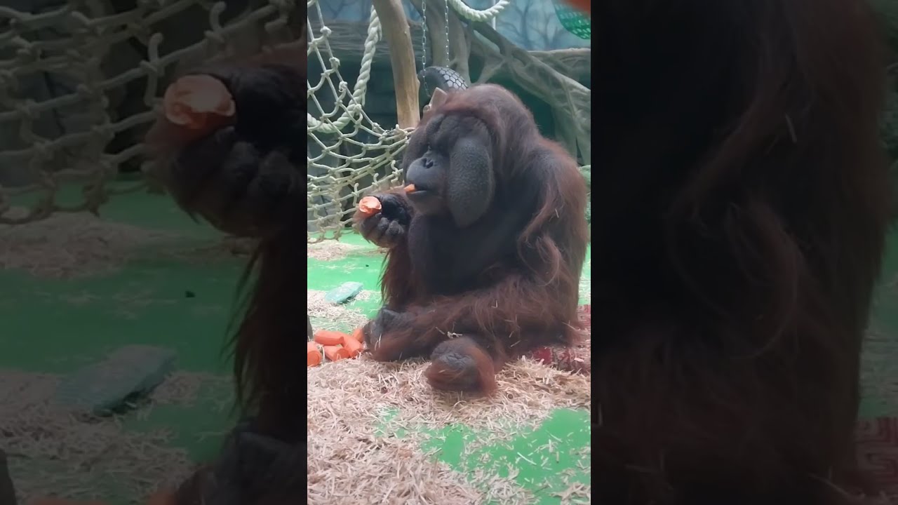 Когда ты знаешь толк в еде