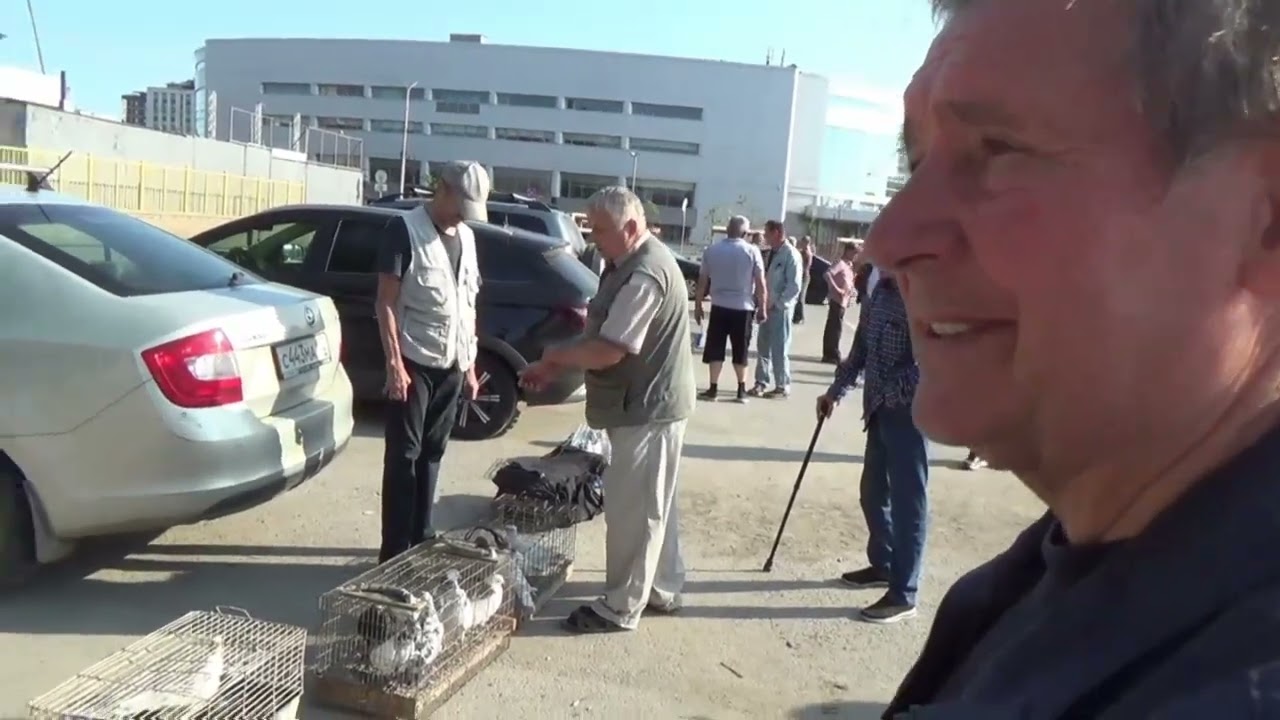 ПТИЧИЙ РЫНОК, УФА, 08 ИЮНЯ 2025 ГОДА.