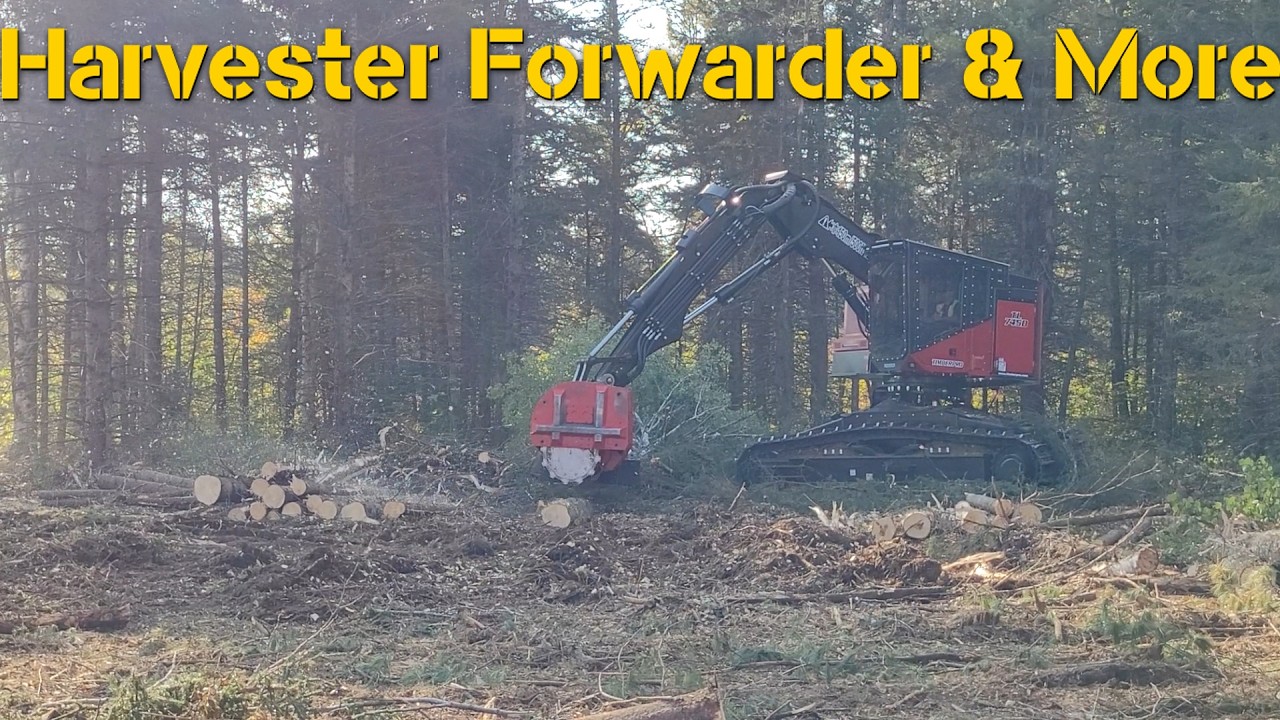 Timberpro TL745D & Logmax 7000 XTDS  | Demo International