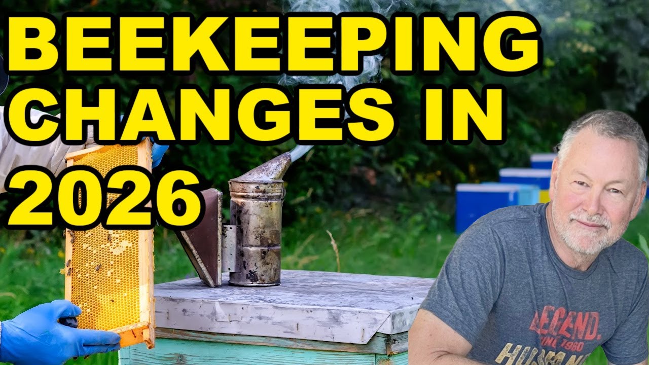 Beekeeping: What I'll Be Doing Differently in 2026