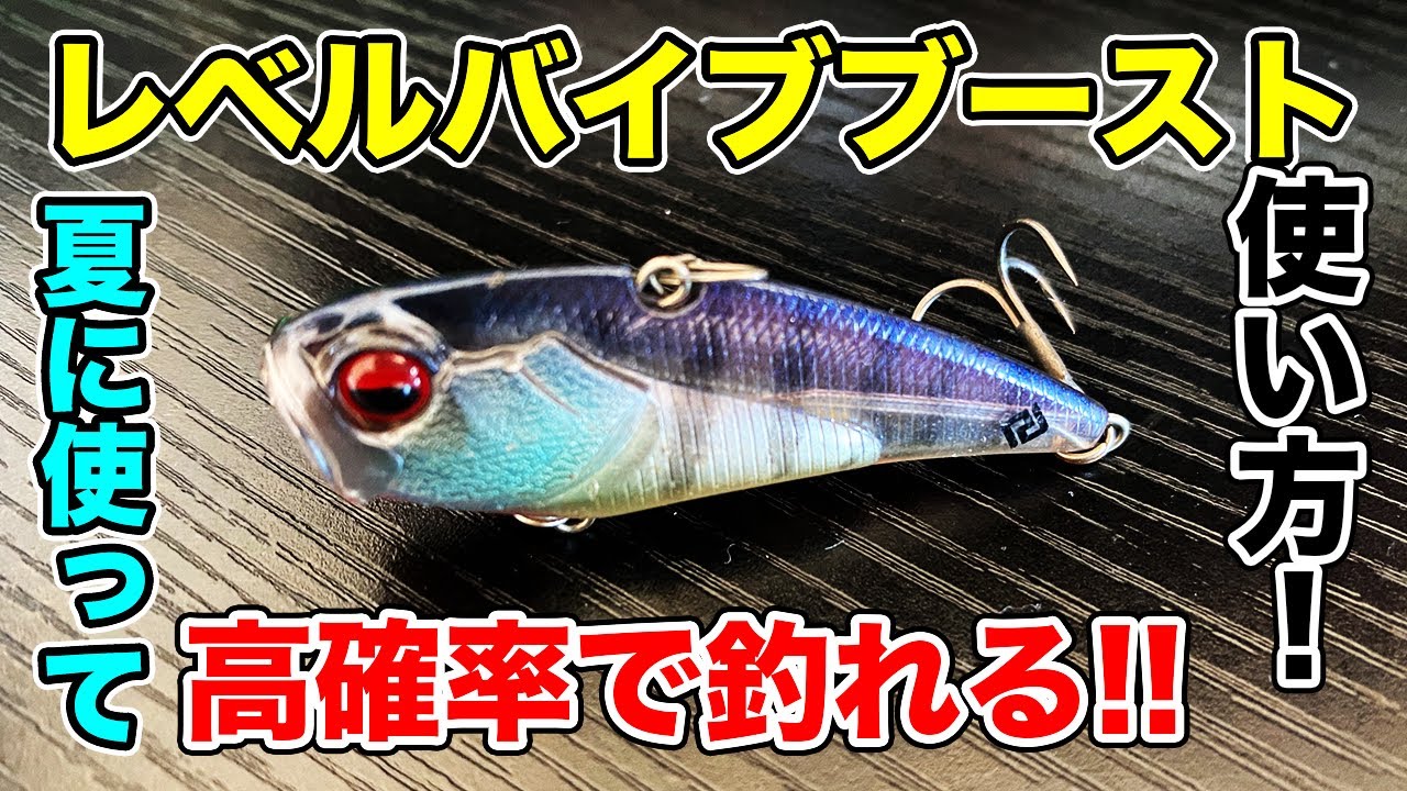【夏のバス釣り】レベルバイブブーストの使い方!!おすすめカラーや冬に使うだけじゃもったいないので解説してみた【マイクダッジ】【スイッチベイトアンサー】[RAID JAPAN]