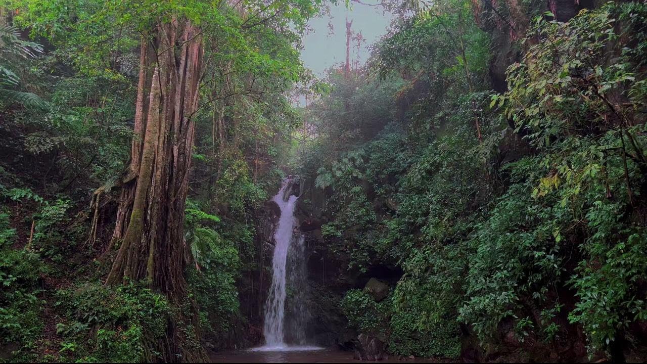 4K-HDR | Gentle Waterfall Sounds to Sleep Fast | Natural Water Ambience for Full Stress Recovery