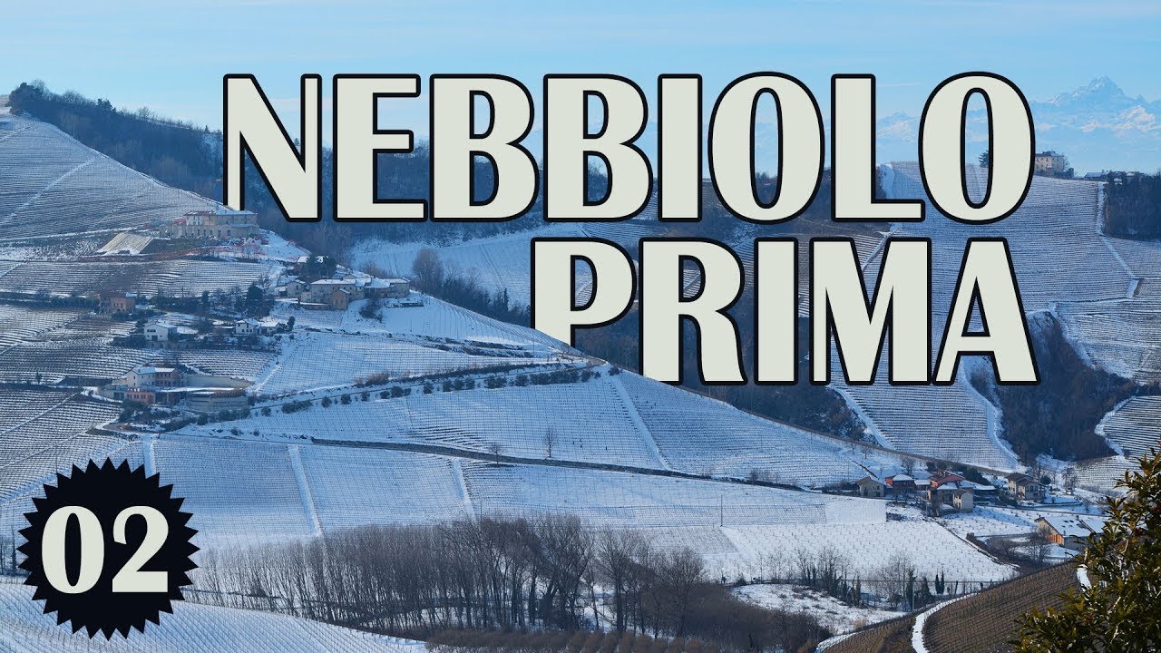 Os Vinhos do Piemonte - Parte 02 | Barbaresco, Barolo, Roero